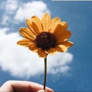 Meet your Posher, Catherine! <3